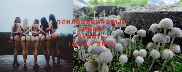 экстази Осинники
